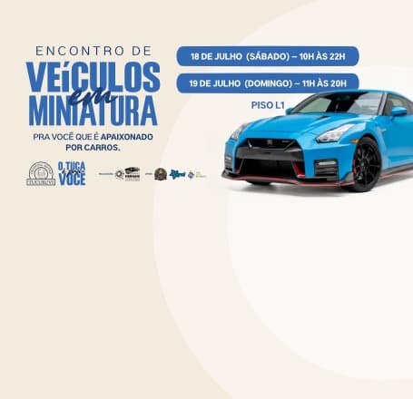 Encontro de Veículos em Miniatura